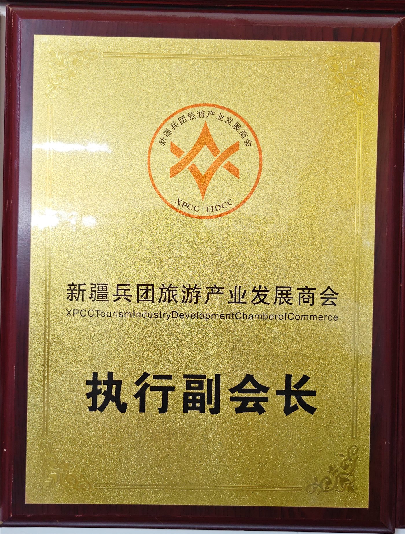 执行副会长-新疆兵团旅游产业发展商会